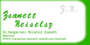 zsanett meiselsz business card